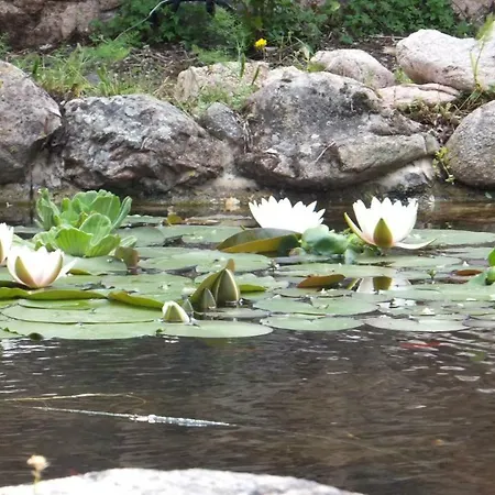 Les De L'hote Antique